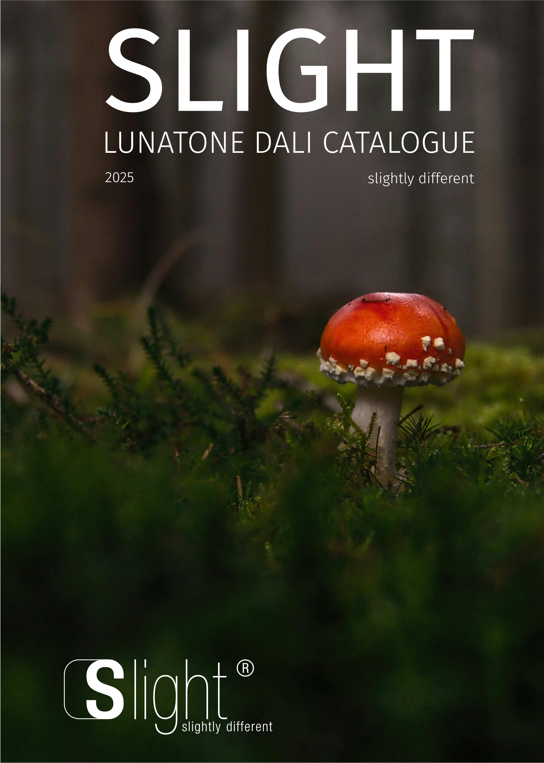 Slight WEB - Lunatone DALI 2025 A5.pdf